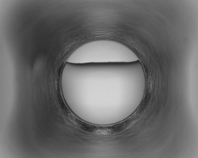 X0000116560595200912100945