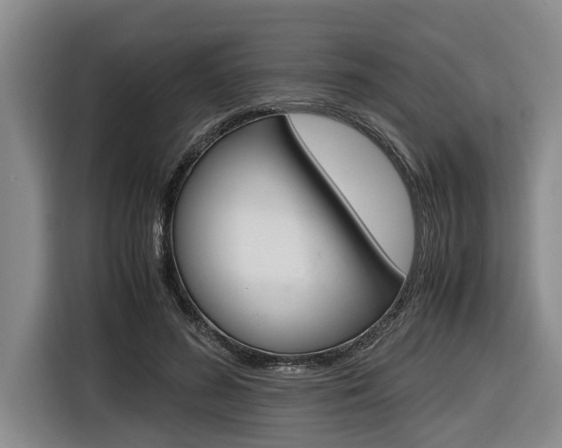 X0000116560596200912100945