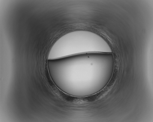 X0000116560597200912100945