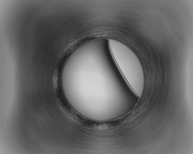 X0000116560600200912100945