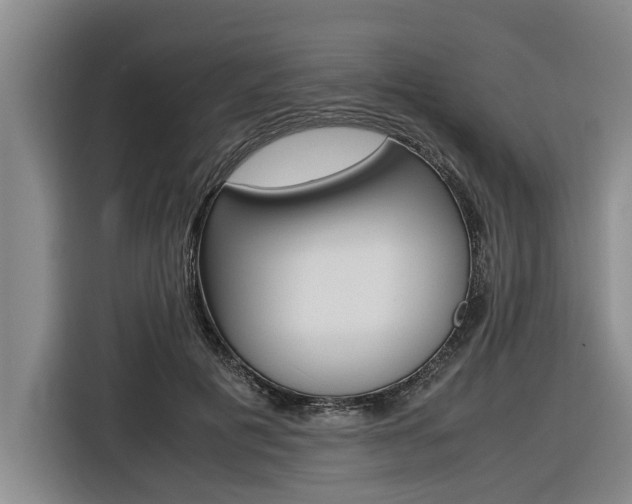 X0000116560601200912100945