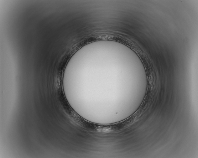 X0000116560602200912100945
