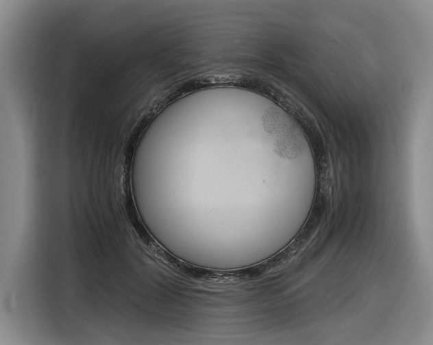X0000116560604200912100945