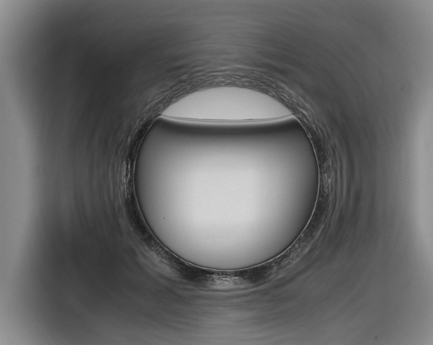 X0000116560605200912100945