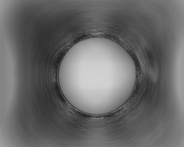 X0000116560606200912100945