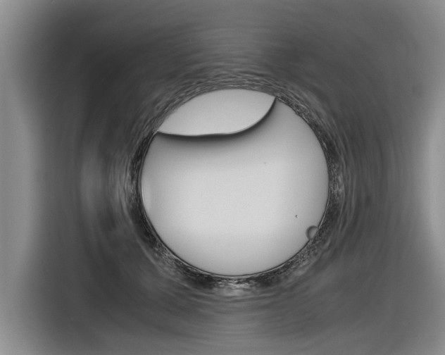 X0000116560607200912100945