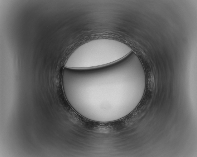 X0000116560608200912100945