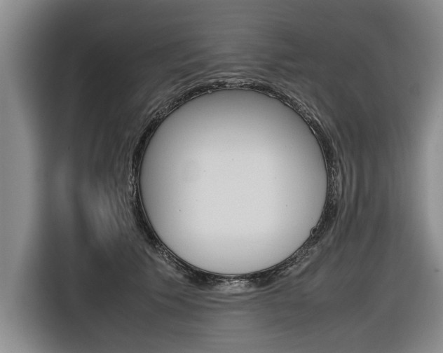 X0000116560609200912100945