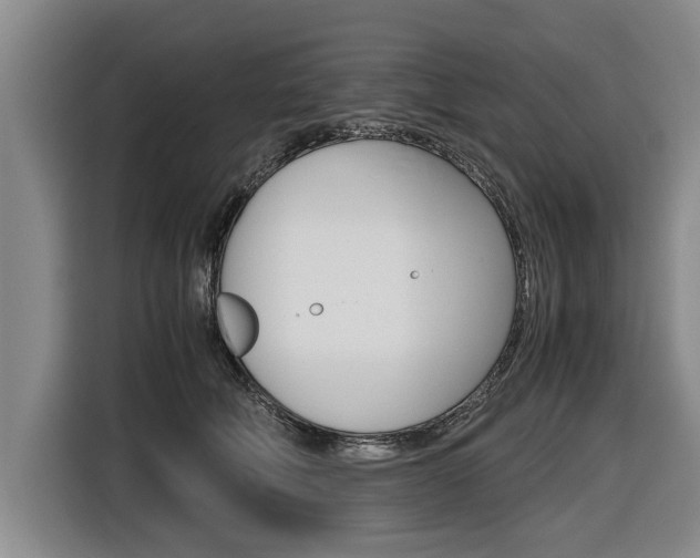 X0000116560610200912100945