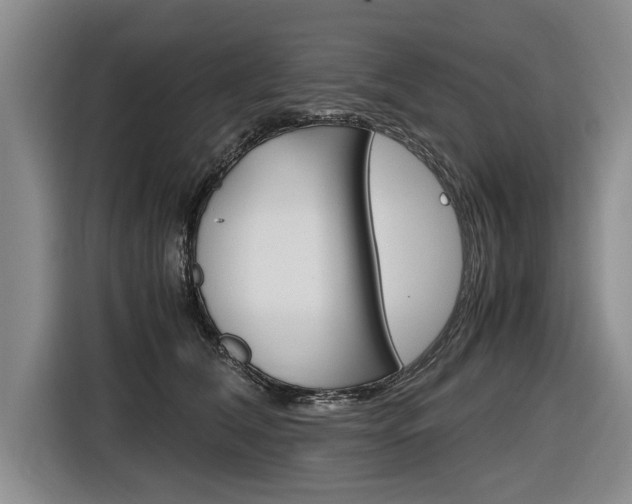 X0000116560612200912100945