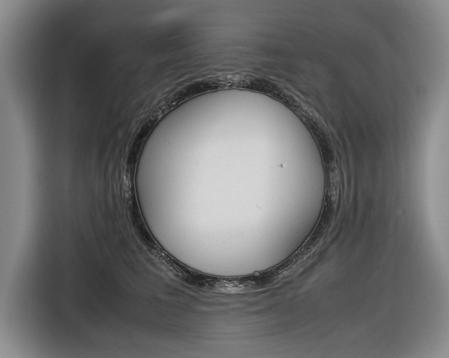 X0000116560613200912100945