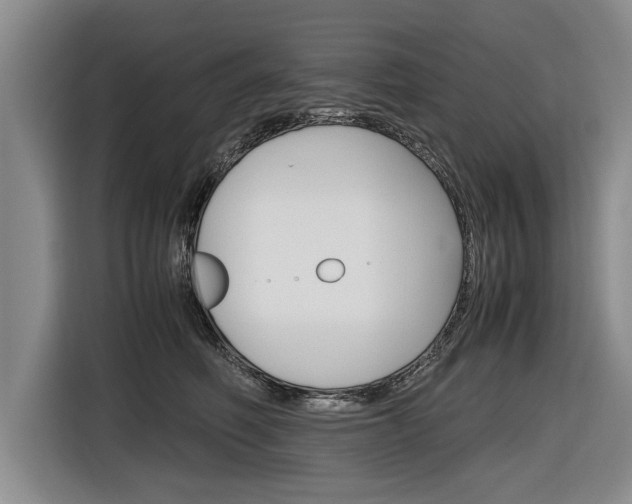 X0000116560614200912100945