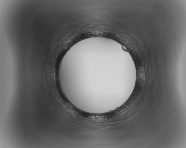 X0000116560615200912100945