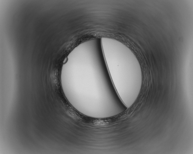 X0000116560616200912100945