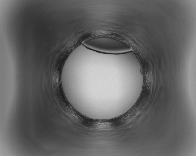 X0000116560617200912100945