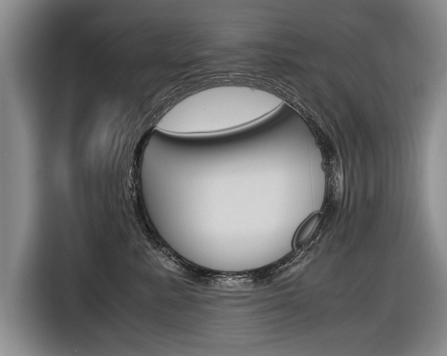 X0000116560619200912100945