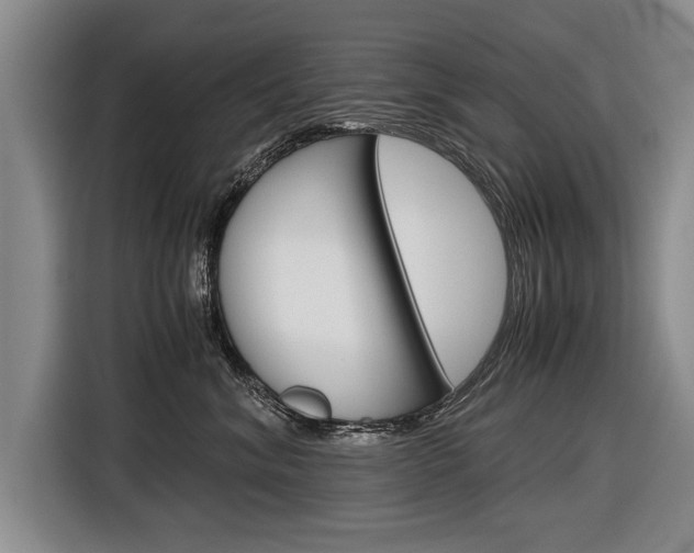 X0000116560620200912100945