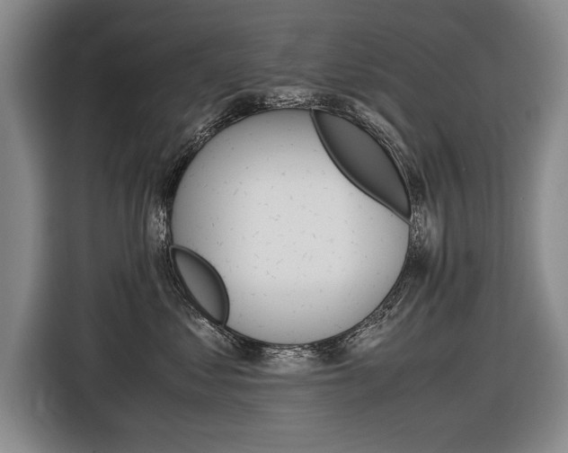 X0000116560621200912100944