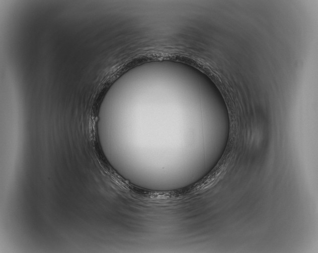 X0000116560624200912100944
