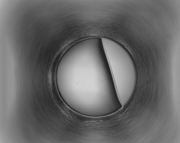 X0000116560626200912100944