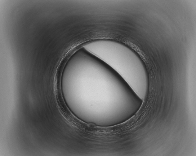 X0000116560627200912100944