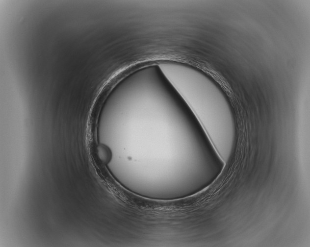X0000116560628200912100944