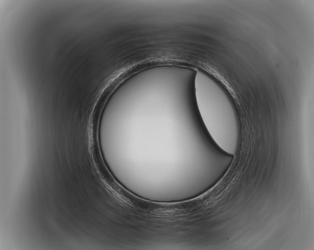 X0000116560629200912100944