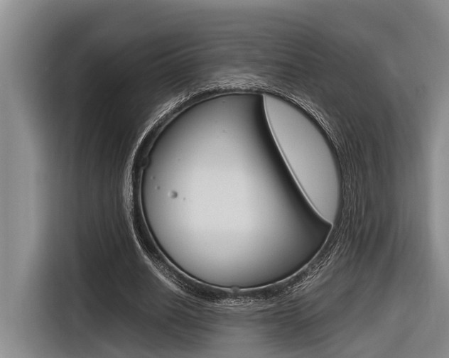 X0000116560630200912100944