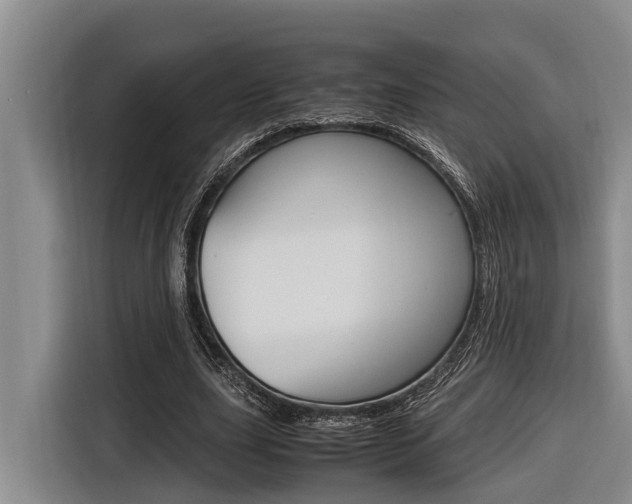 X0000116560631200912100944
