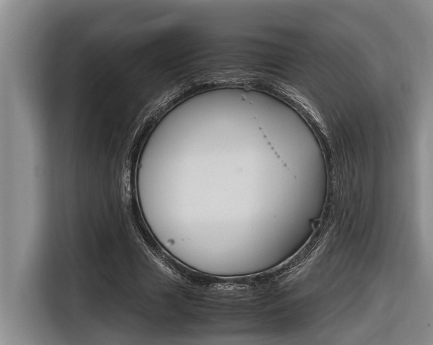 X0000116560633200912100944