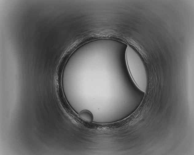 X0000116560634200912100944