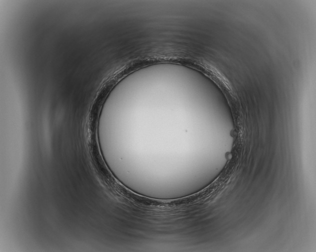 X0000116560635200912100944
