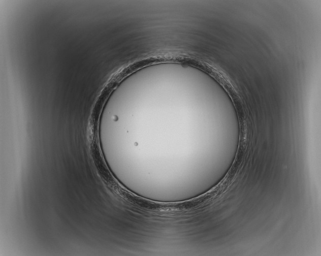 X0000116560636200912100944