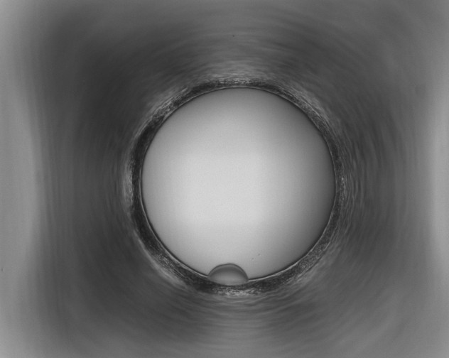 X0000116560638200912100944