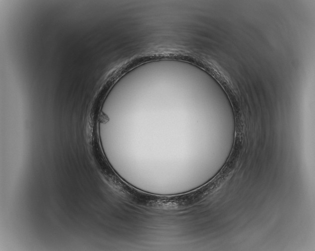X0000116560640200912100944