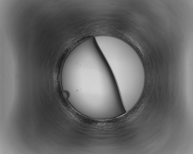 X0000116560641200912100944