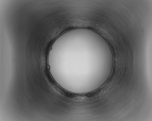 X0000116560642200912100944