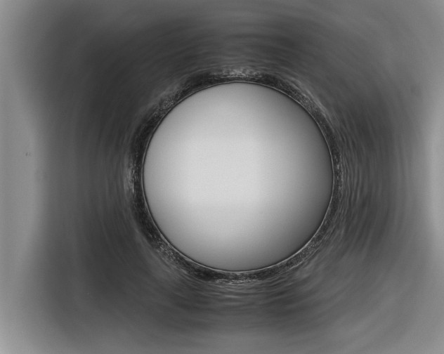 X0000116560643200912100944