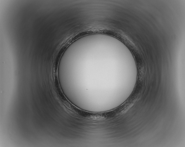 X0000116560644200912100944