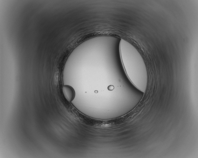 X0000116560647200912100944