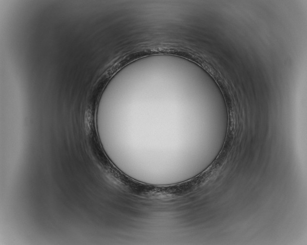 X0000116560648200912100944