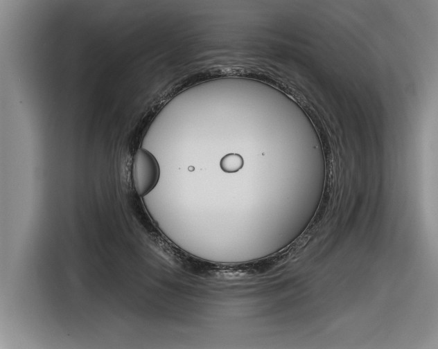 X0000116560650200912100944
