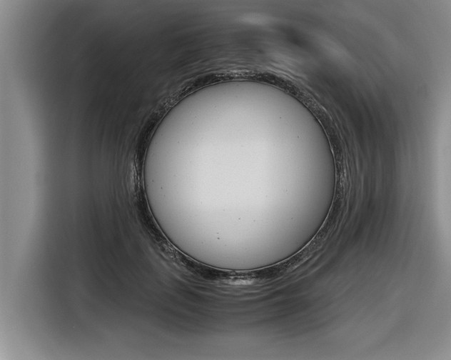 X0000116560651200912100944