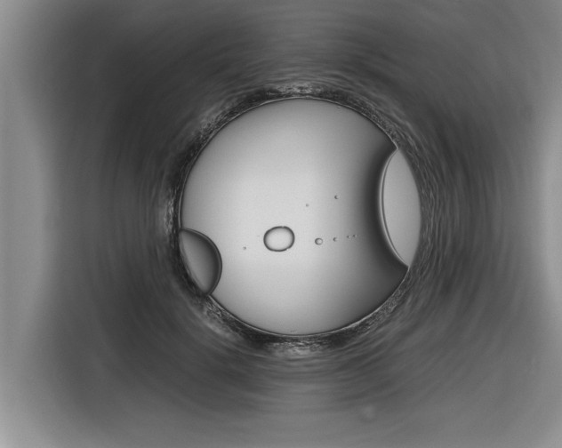 X0000116560652200912100944