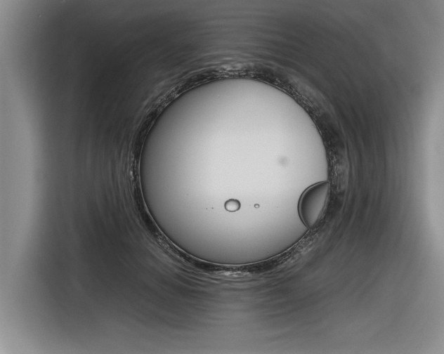 X0000116560654200912100944