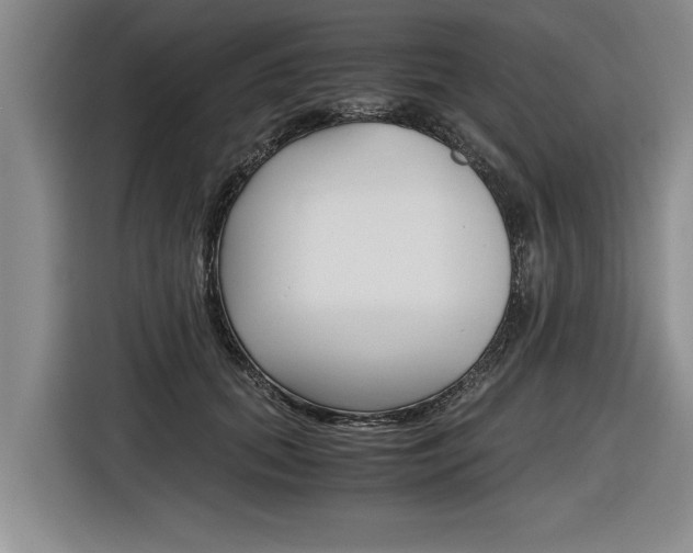 X0000116560655200912100944
