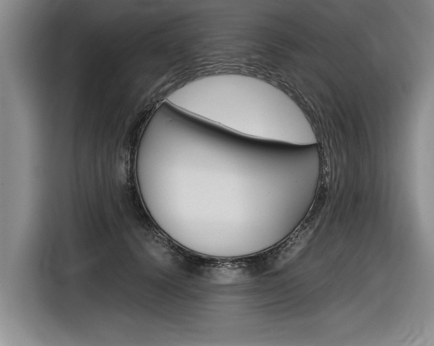 X0000116560656200912100944