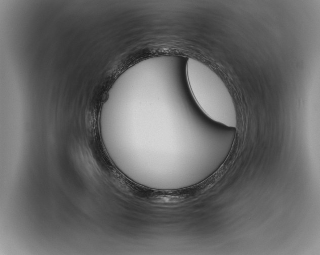 X0000116560657200912100944