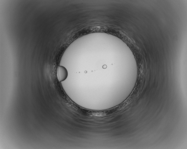 X0000116560659200912100944