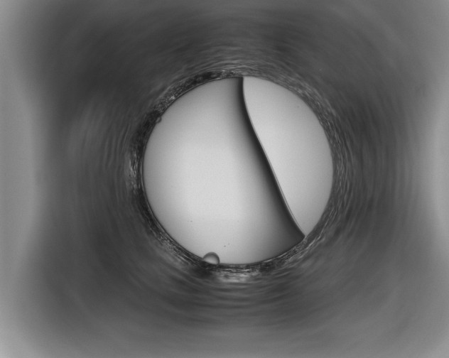 X0000116560661200912100944